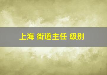 上海 街道主任 级别